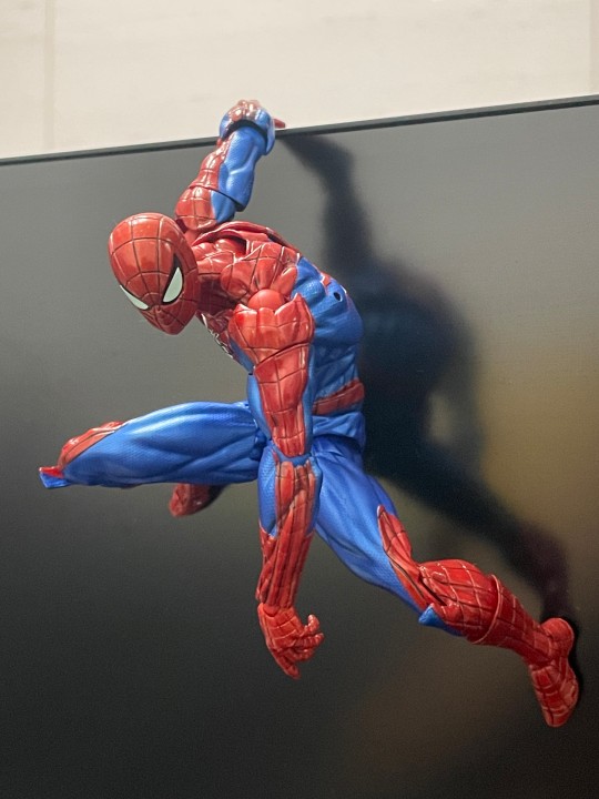 美美把玩蜘蛛侠2.0