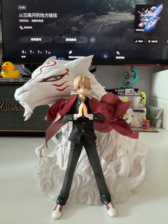 夏目猫咪老师yyds