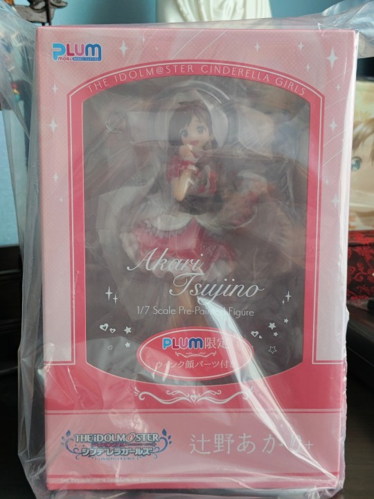 辻野朱里实物到货