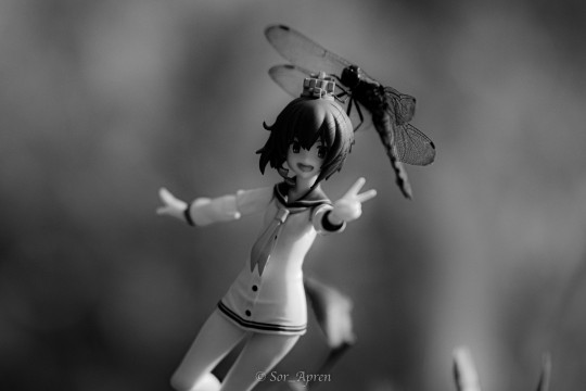 直升机降落在丹阳号上