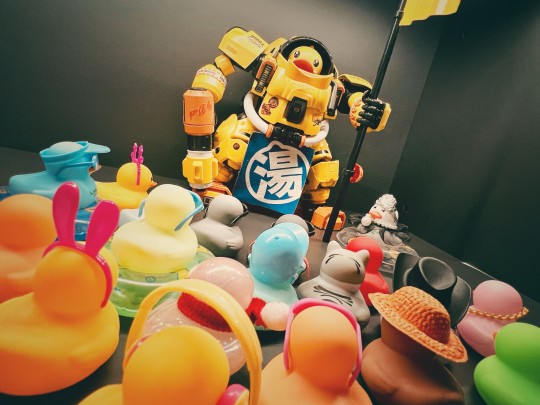 我们同意驾驶员鸭和公主的婚事