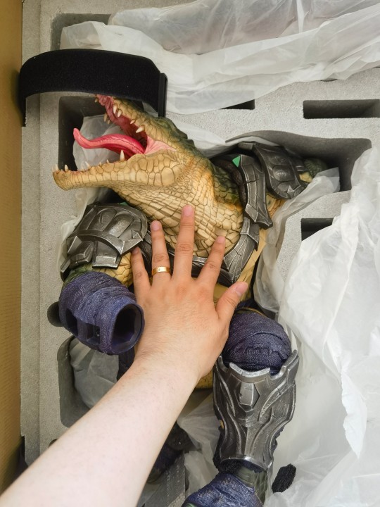 大鳄鱼这么冷门么