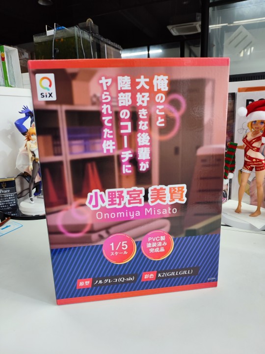 QSIX小野宫美贤美黑皮