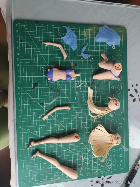 创彩少女庭园 佐伯利兹 泳装版