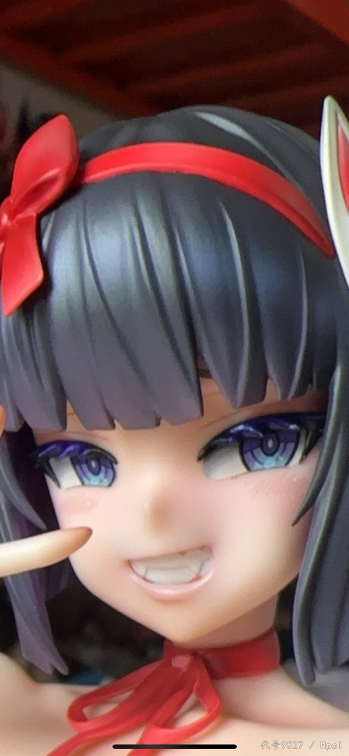 女月枫到货 水 顺便合拍朝凪家族！！！