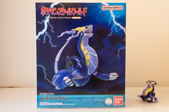 宝可梦比例世界-密勒顿开箱
