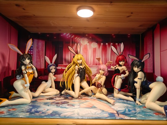 兔子战队初成-等待出包继续生足