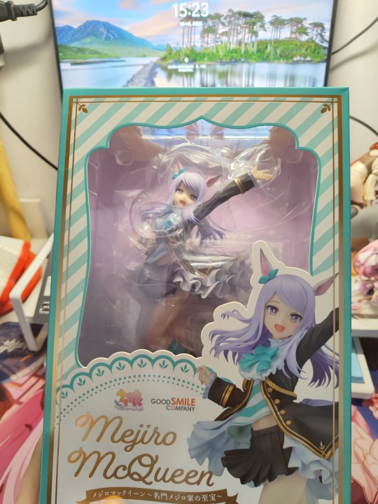 终于收到这个麦昆了