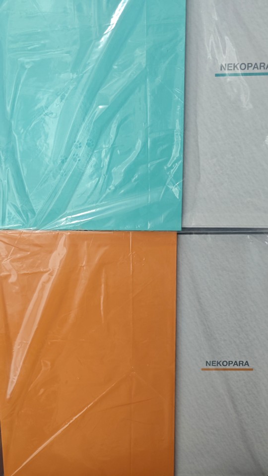 新的一对椅子猫到了