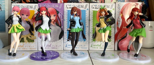 taito五等分战队