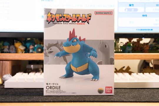 宝可梦比例世界 城都地区 大力鳄 开箱