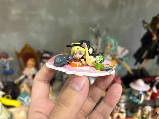 小猫你可以喝牛奶