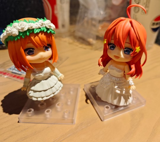 五姐妹最后两只收齐啦