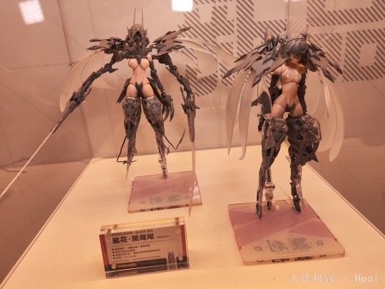 核诚治造 星花·黑鸢尾 GMHS返图