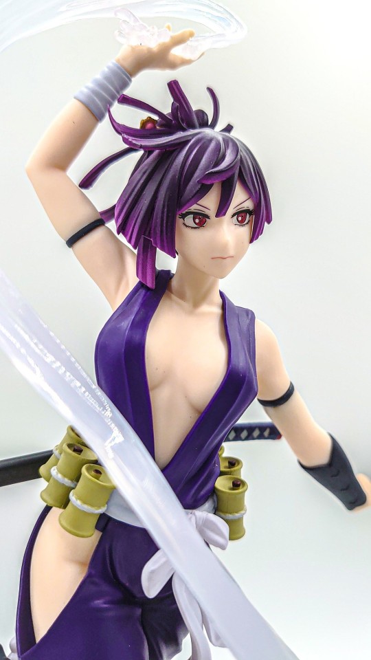 转载世嘉杠景品实物图