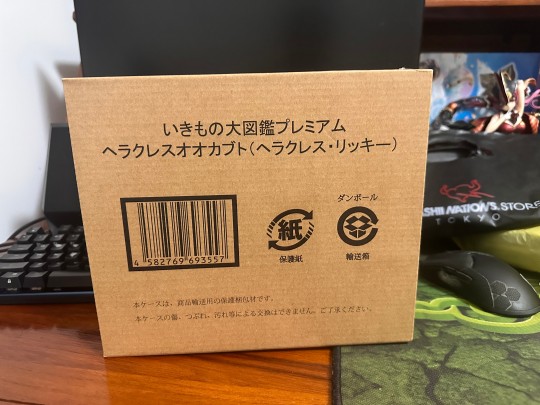 高级生物大图鉴 长戟大兜虫（利奇氏亚种）