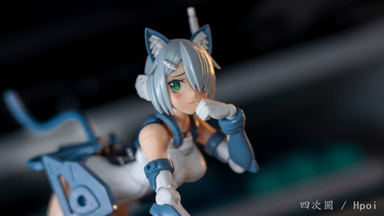 来自青岛社的可爱猫娘🥰