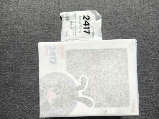 樱岛麻衣 兔女郎