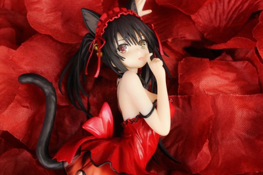 赤猫三三( ˘•ω•˘ )