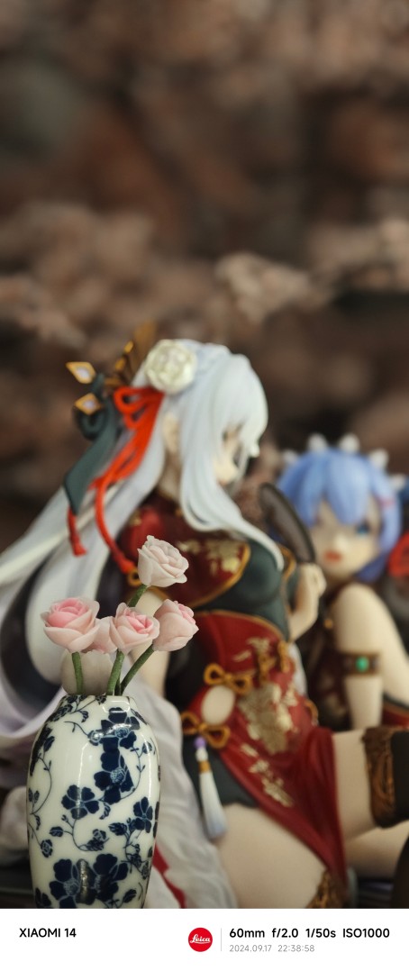 中秋佳节，花好月圆，赏花