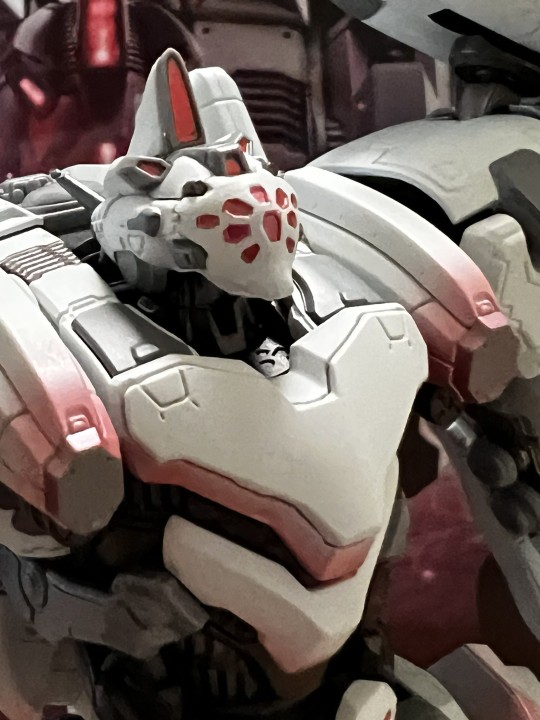 日推网友开箱返图