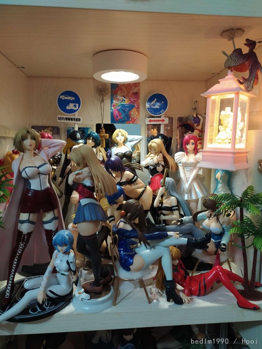 更新我的女神们