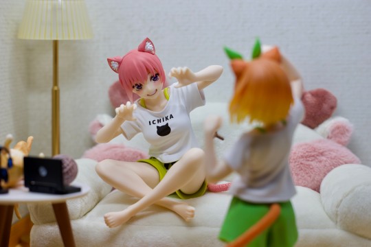 还得是你啊taito