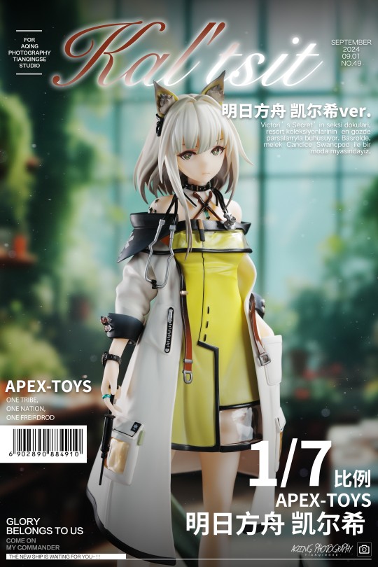 凯尔希的美背可以拔罐了！