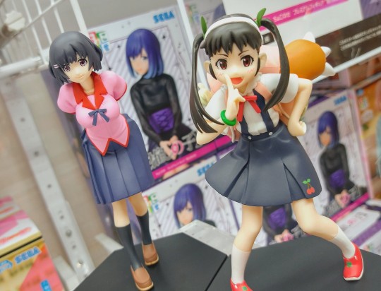 世嘉 物语系列 奖品人偶 羽川翼 大货实拍返图搬运