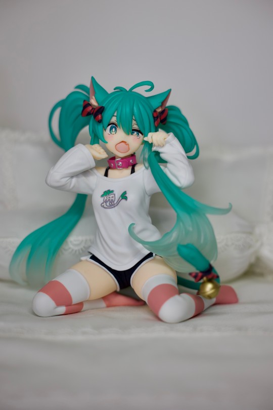 来了来了 taito他又来了