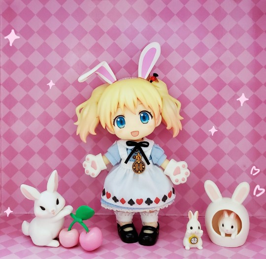 💗🌸爱丽丝酱酱🌸💗