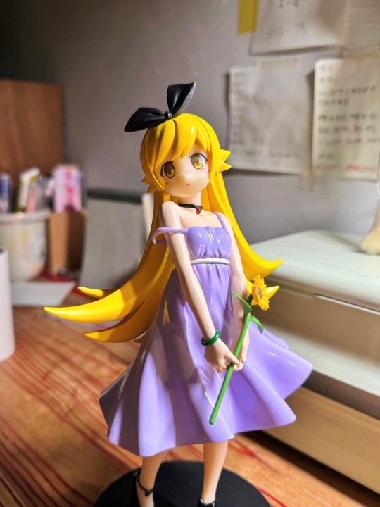 忍野忍 景品重喷