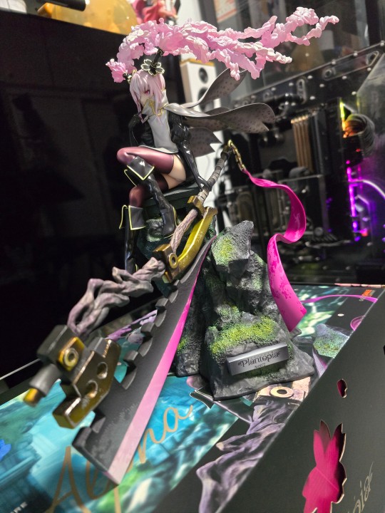 众筹到了 摸两天鱼再拍