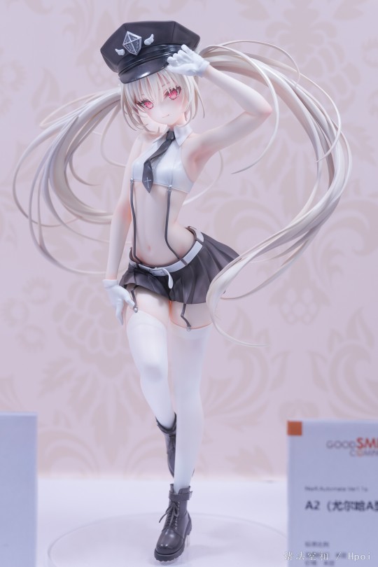 wf2024记录  美少女和小动物流水账