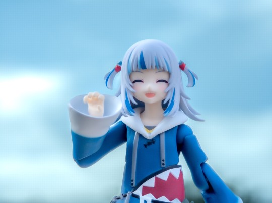 与鲨鱼相处的2周回忆