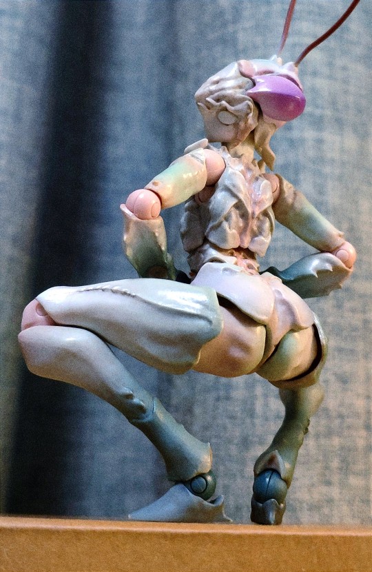 半球关和关节粘死可真是添柴