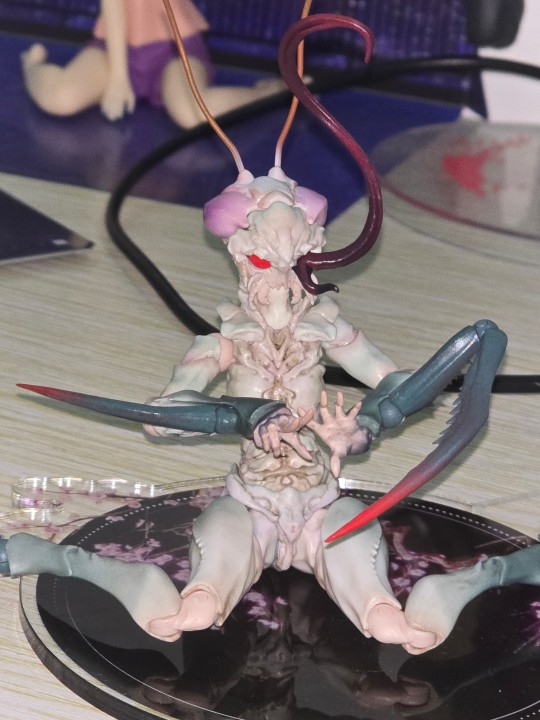 “是虫还是蠢”