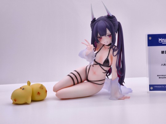 AniGame 碧蓝航线 檚（初月）八月恋夏 WF上海返图