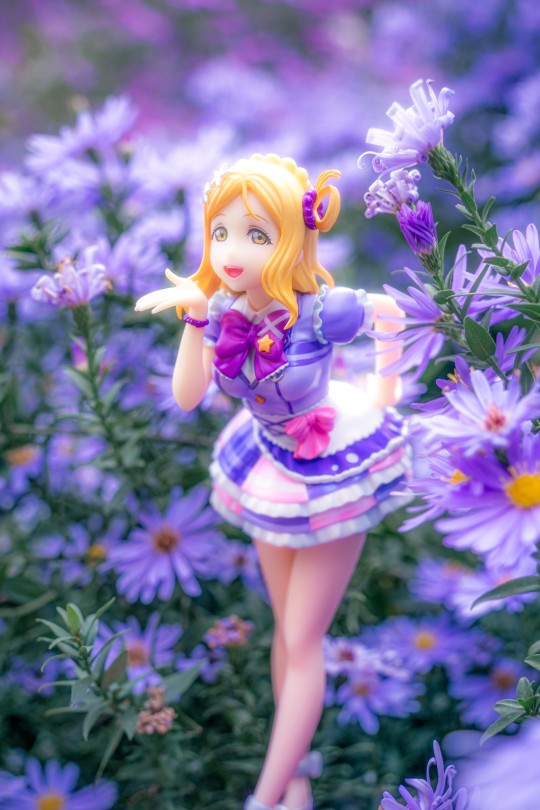 手办外拍｜立于紫菀花海间