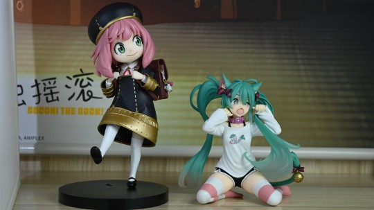 超大只的阿尼亚