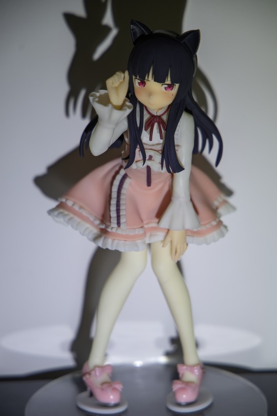 分享三张24年底的黑猫