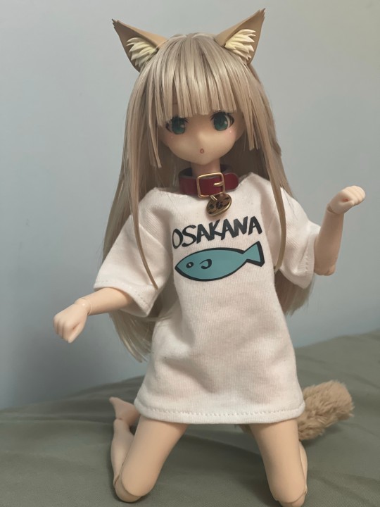 黄豆粉娃娃到货