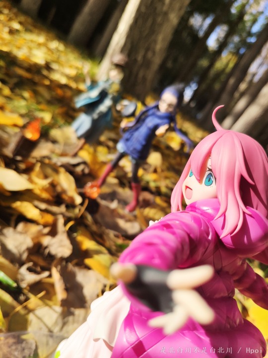 野活组的秋季露营!!!
“野活组的小的们，让芝麻凛和小惠娜后悔没来吧”
“喔——！”