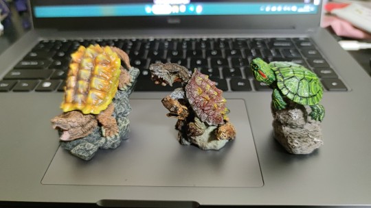 生物图鉴迷你龟龟