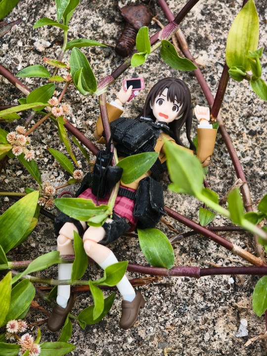 叙利亚花店打工妹妹村道上班会不会遇到触手怪