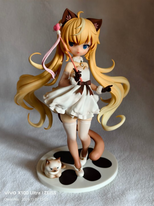 【萝莉不推荐】暹罗猫【纯纯的潮玩】