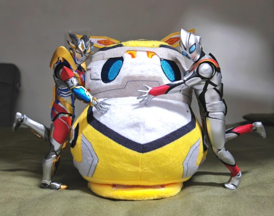 奏大，你的驾驶技术也太烂了吧！