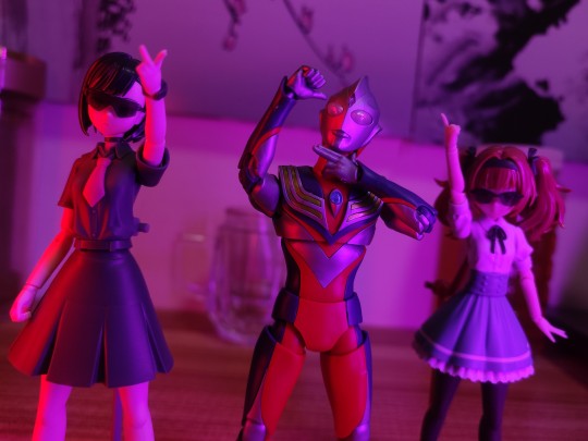 【今儿个卡蜜拉不在家！】