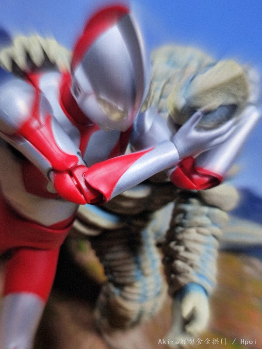 来了 我们的玉米王！