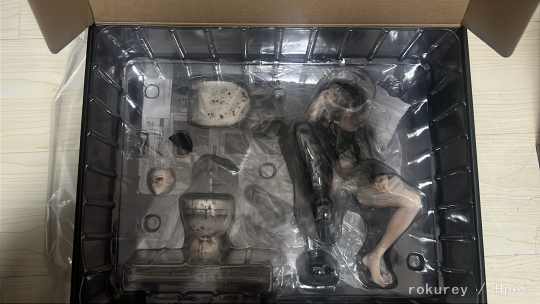 我的🚽也到了！